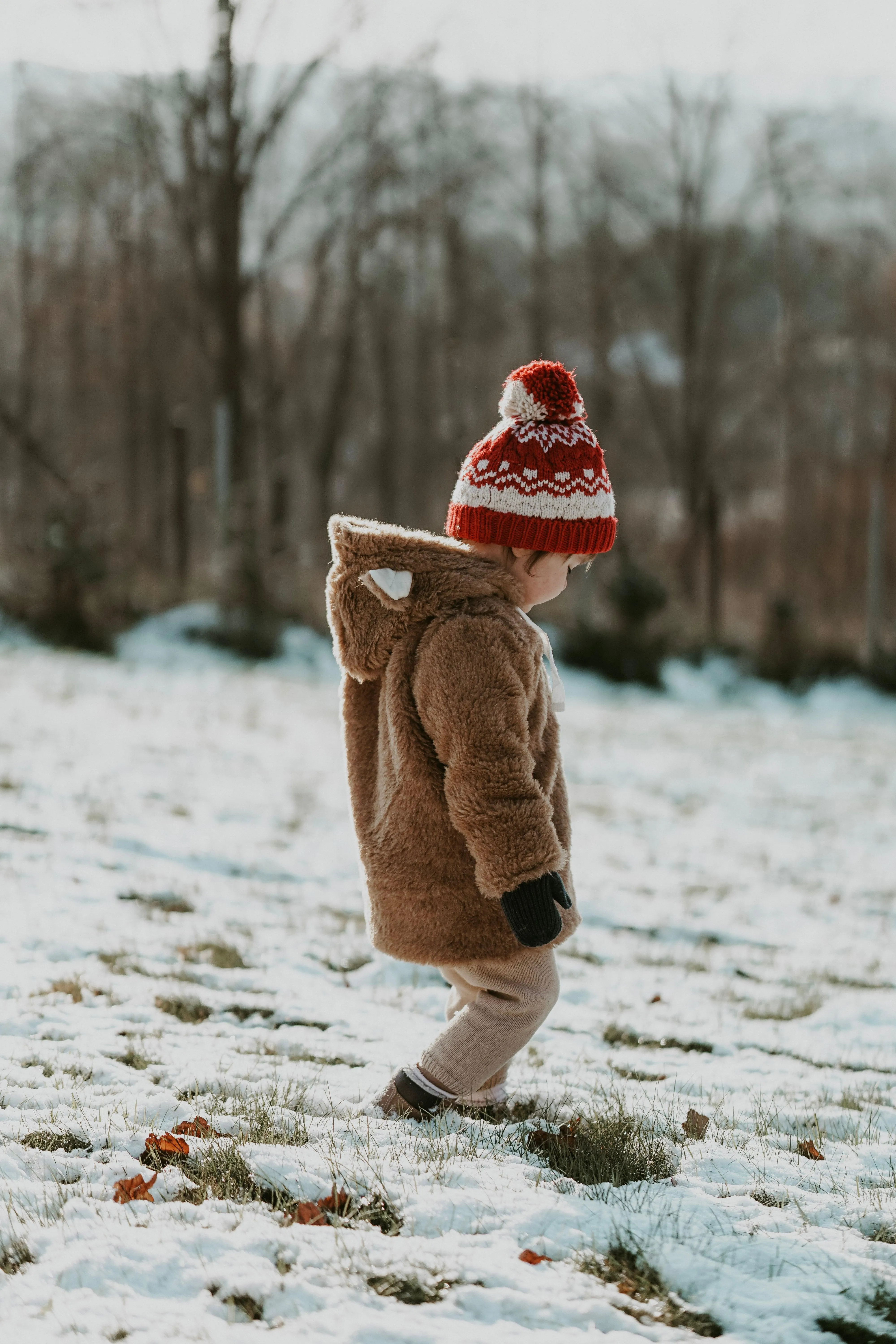 Baby/Kid Virgin Wool Jacket - Brown