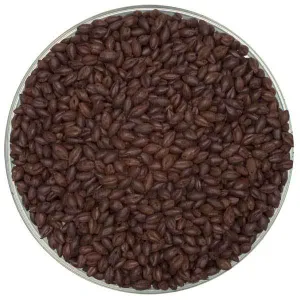 Briess Black Malt - 50lb Sack