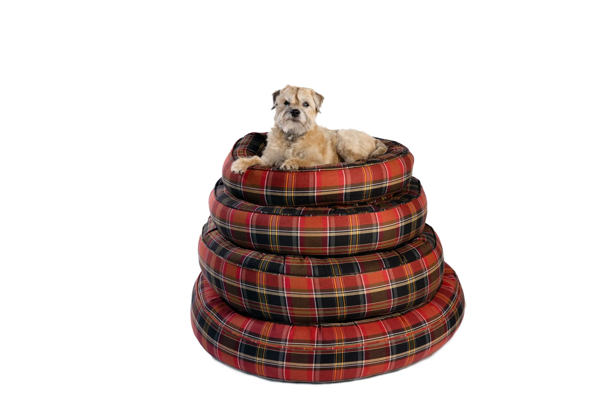 Canine Styles - Cotton Canvas - Maclachlan Red Plaid