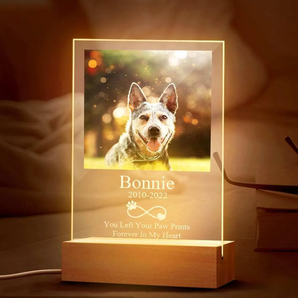 Custom Acrylic Night Light Personalized Pet Dog Memorial Led Lamp