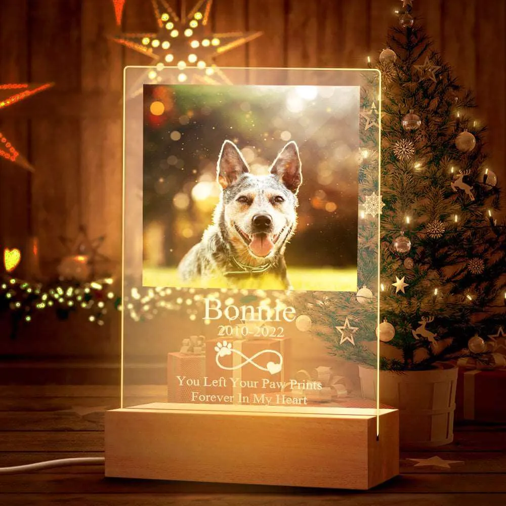 Custom Acrylic Night Light Personalized Pet Dog Memorial Led Lamp