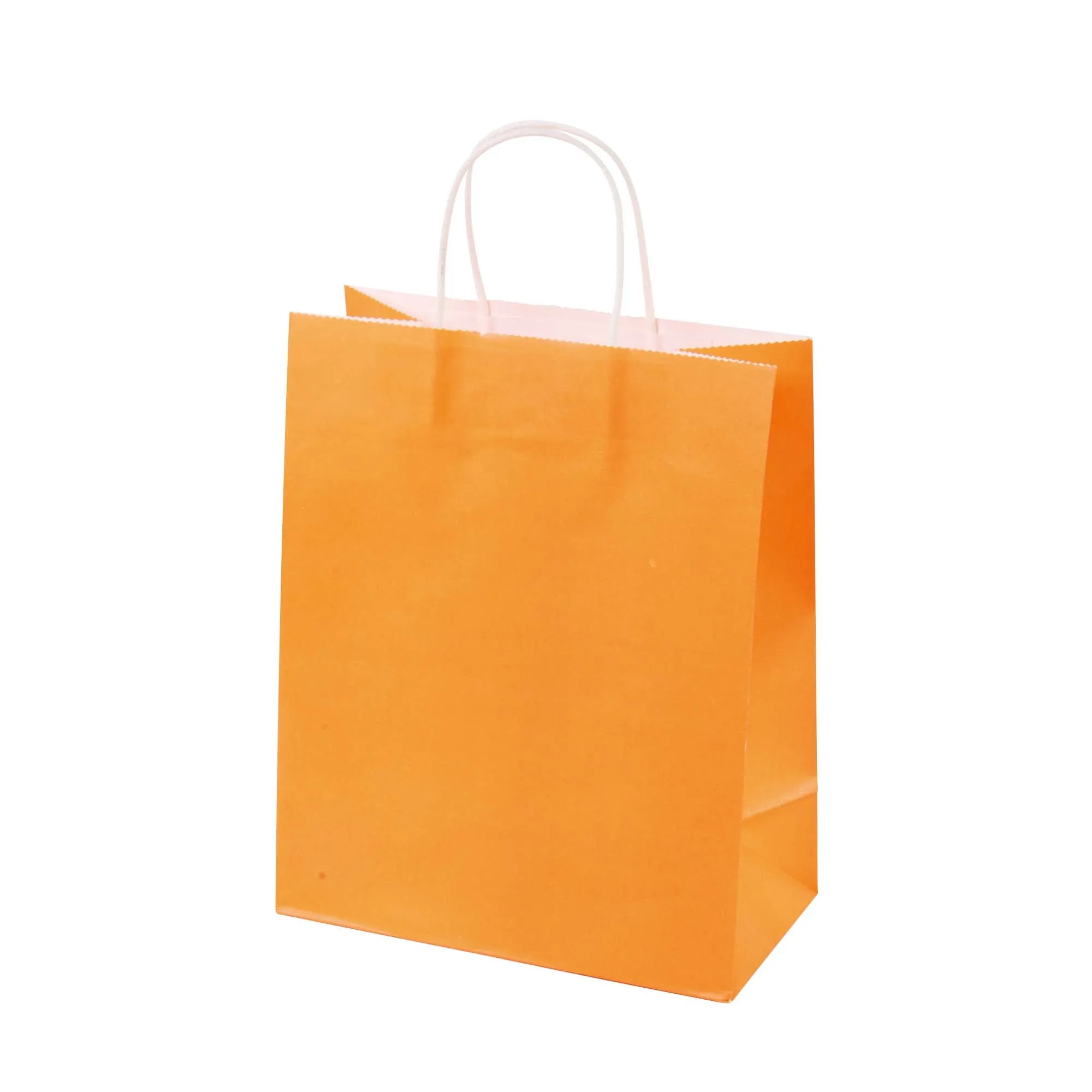 Large 6 Pack Bundled Neon, White Kraft Bag W/White Color Handle, 4 Colors