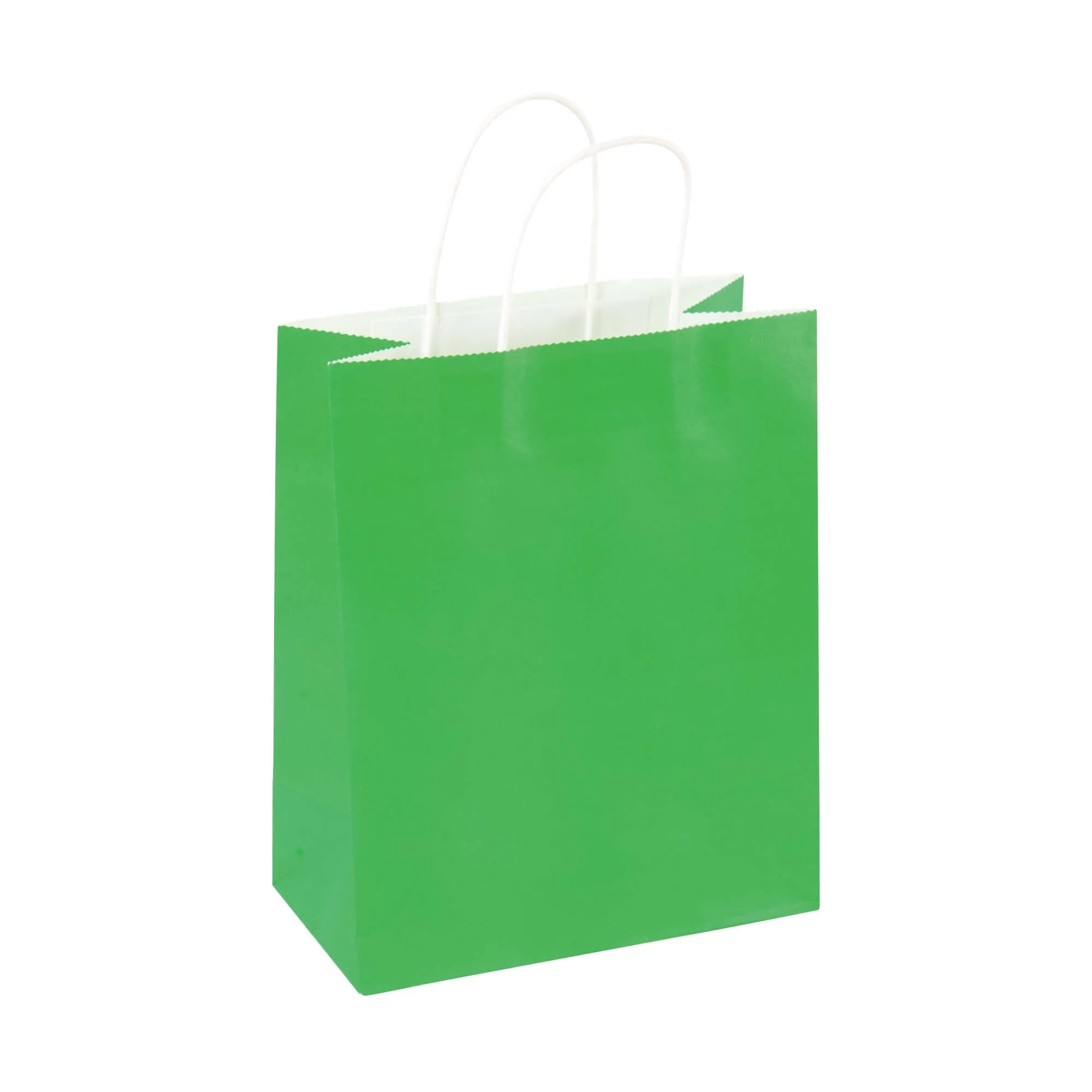 Large 6 Pack Bundled Neon, White Kraft Bag W/White Color Handle, 4 Colors