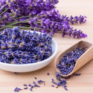 Lavender Fragrance Oil