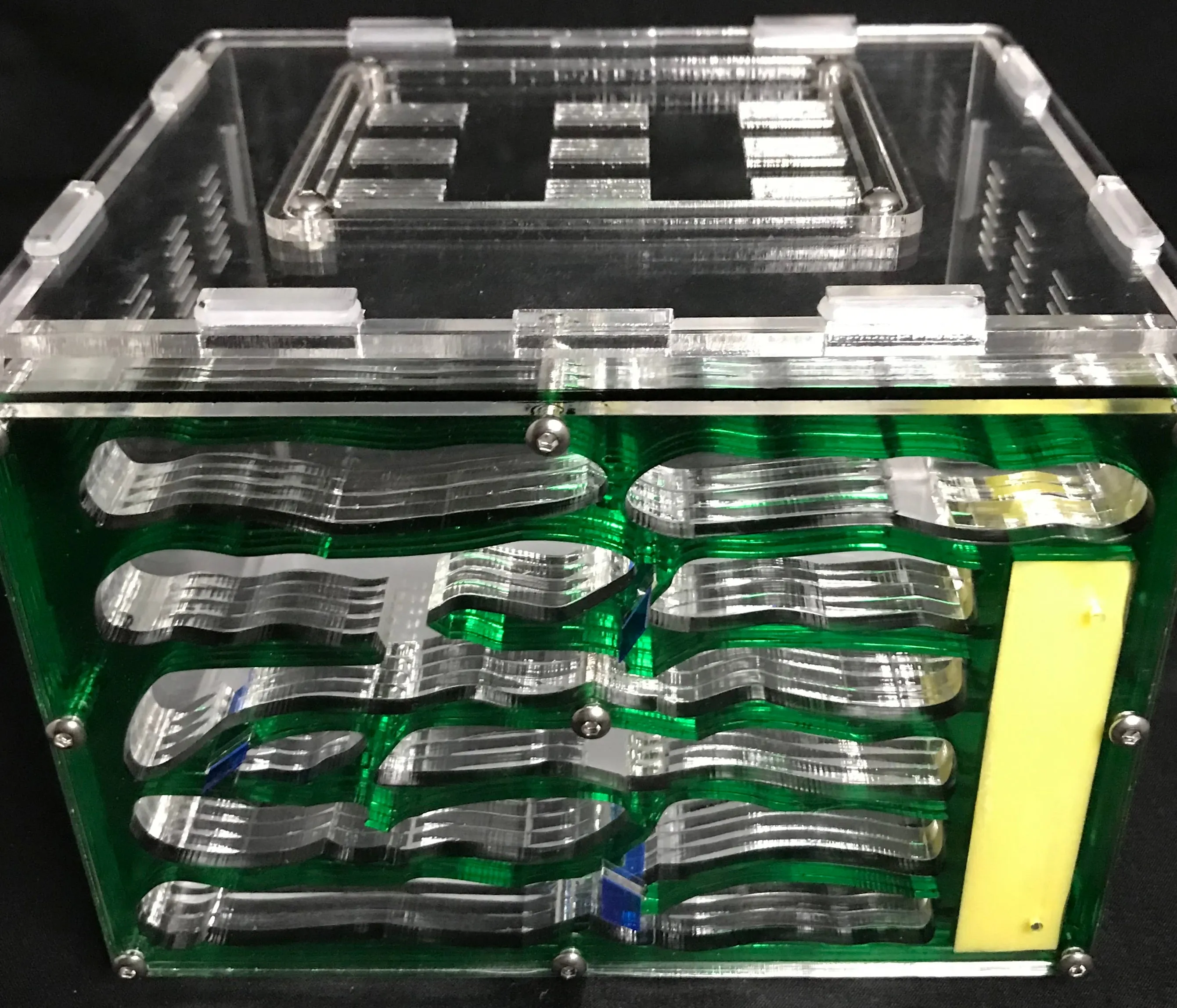 Medium Vertical Antfarm and Outworld Combination