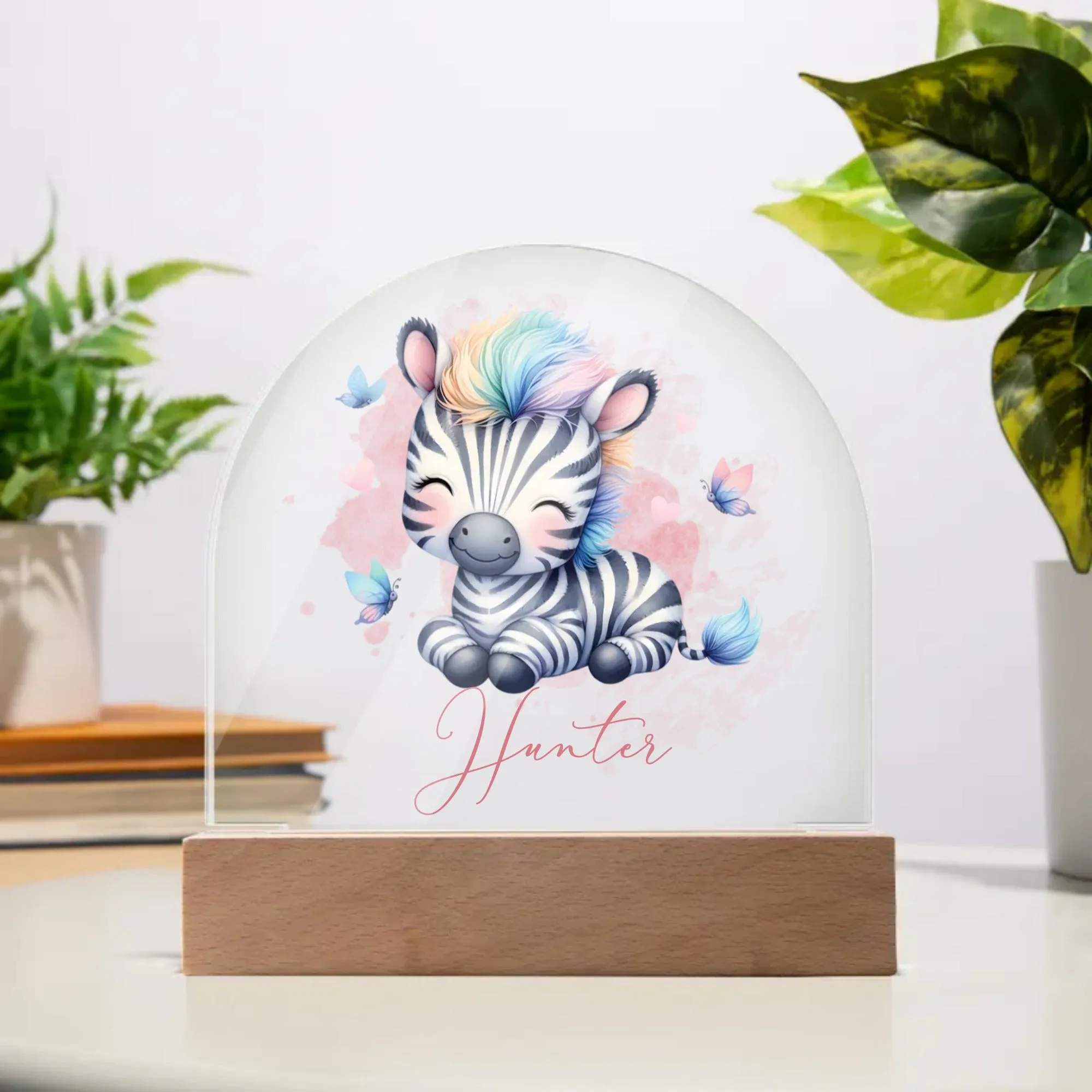 Personalised Zebra Acrylic Dome Plaque Wooden Base Night Light